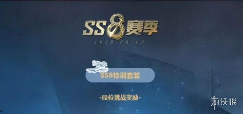 ss8手册最新爆料,深度解析神秘网络监控系统的秘密与功能